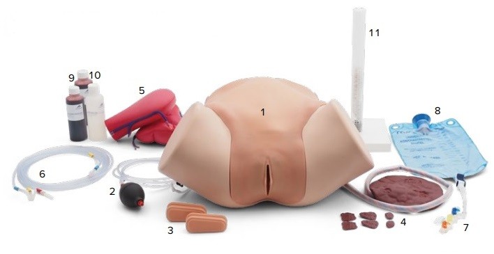 Postpartum Simulation Unit