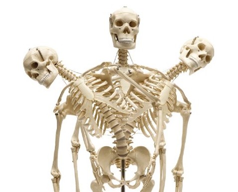 Rudiger Mini Human Skeleton Model in Action