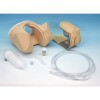 Erler-Zimmer Female Catheterisation and Enema Simulator