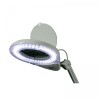 Daray Professional LED Magnifying Light