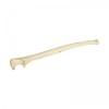 Ulna Orthobone