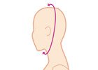 Size measurement of head circumference