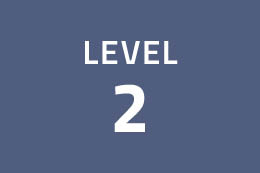 Comfizz Level 2 Supports