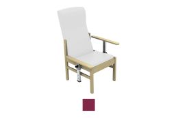 Sunflower Plum Patient Chairs