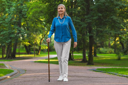 Walking Sticks and Canes