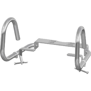 Bio Bidet Toilet Support Handrails