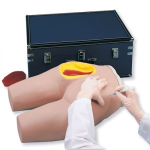 Intramuscular Injection Simulator