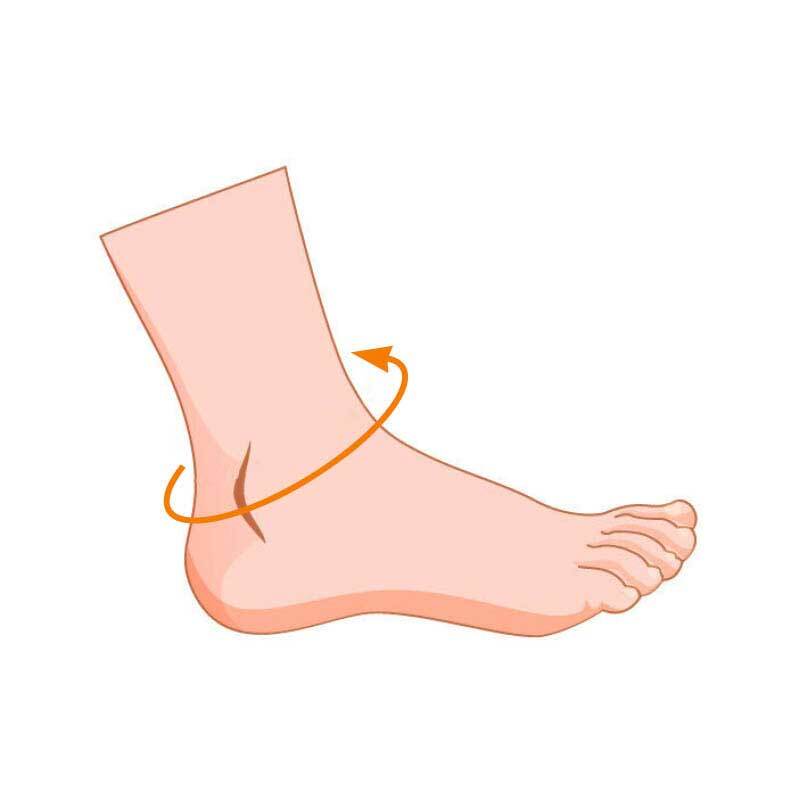 Ankle Circumference Diagram